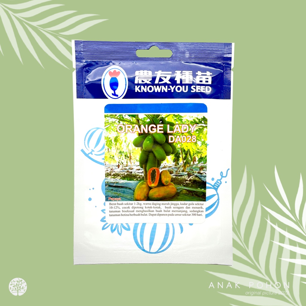 (1 PACK - 50 SEEDS) Benih Pepaya Orange Lady DA028 Papaya California Seeds - Known You Seed KYS