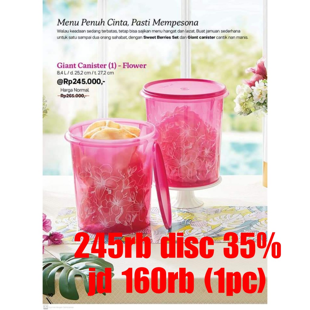 Giant Canister Toples Uk 8.4 1pcs