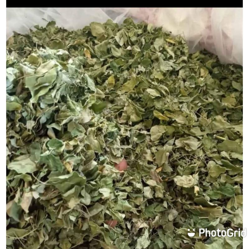 Daun kelor/teh daun kelor