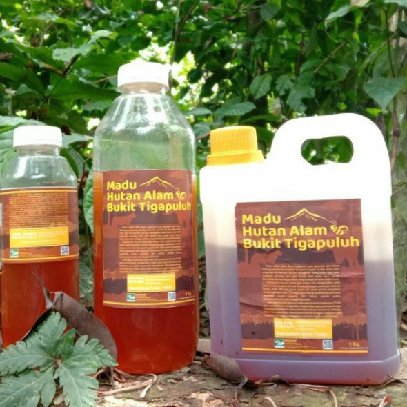 

Madu Hutan Alam Bukit Tigapuluh