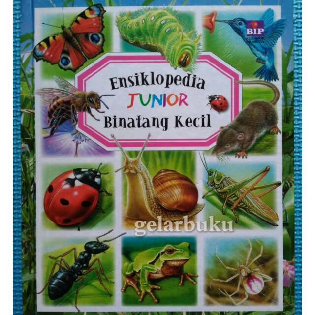 Ensiklopedia Junior :  Binatang Kecil