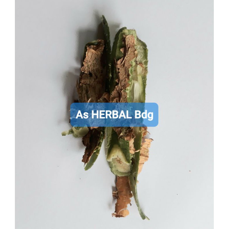 

Kulit pohon singkong karek segar 100 gram-az