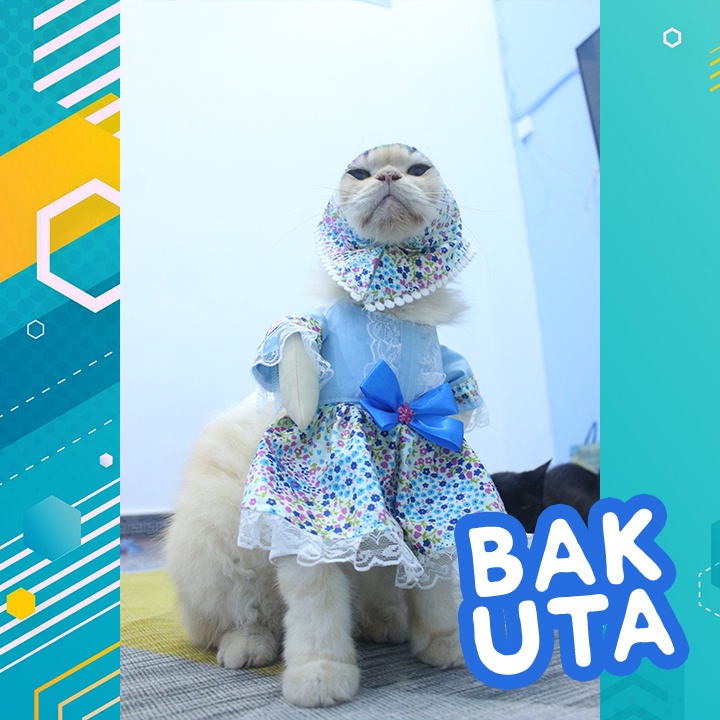 Kostum baju gamis lucu motif Bunga warna biru / baju koko kucing lebaran Terbaru size S-XL