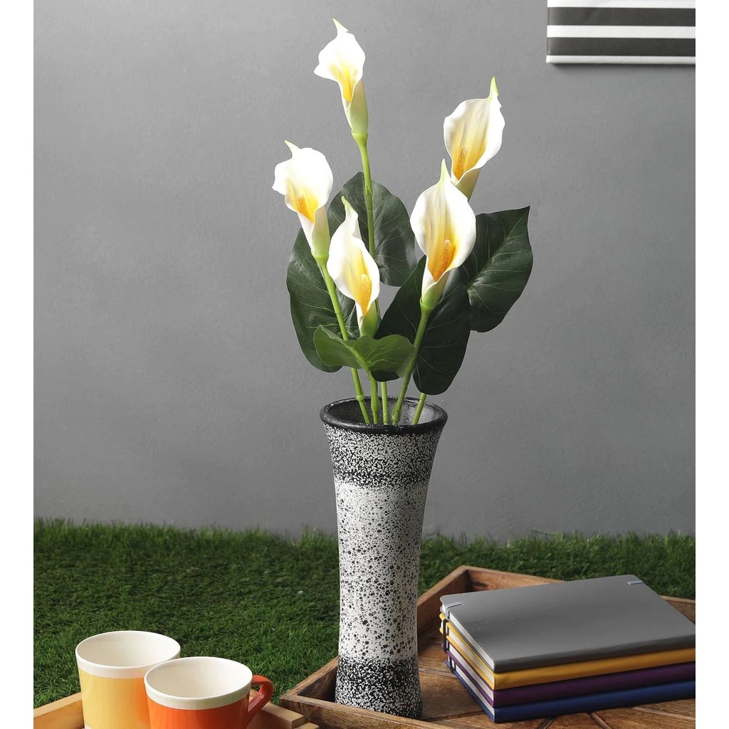 Cala Lily - Calla Lily - Tanaman Hias