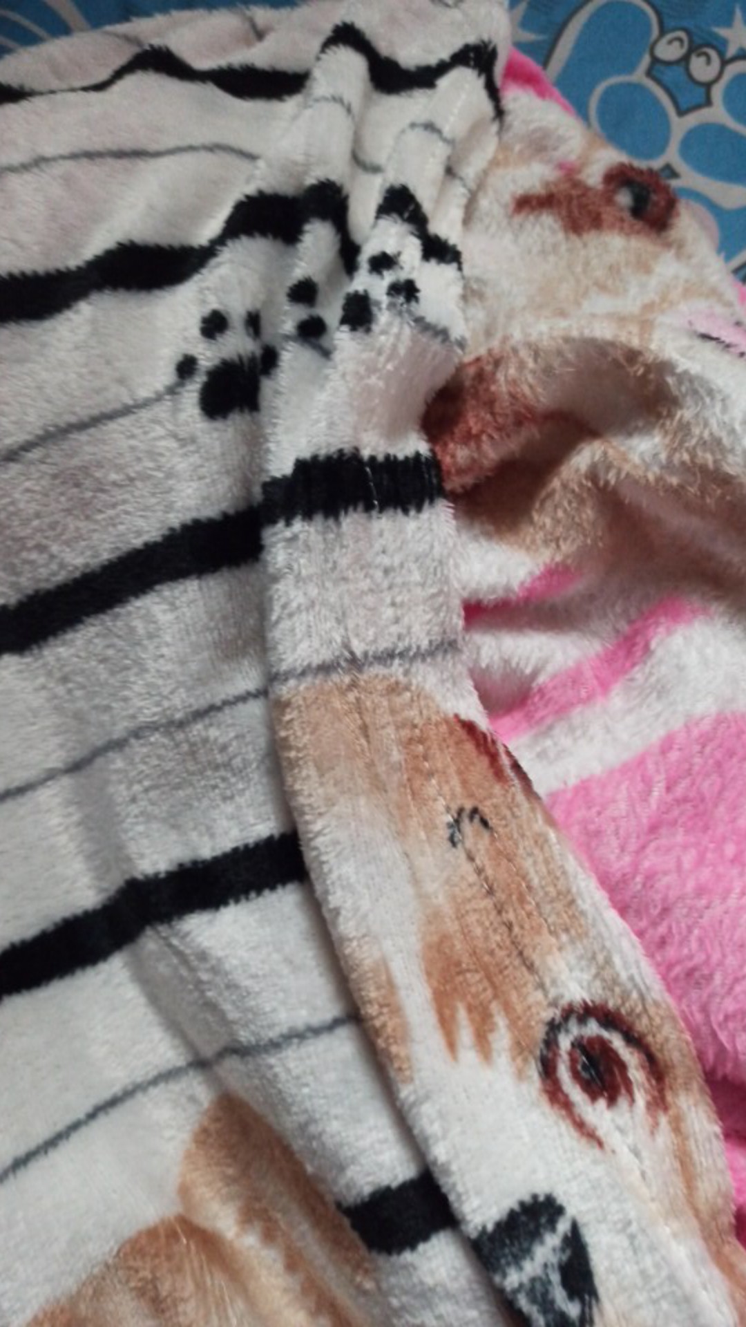 Sekilo Muat 3pcs Selimut Karakter 150x200 Motif Baru