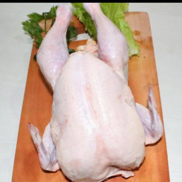 

Ayam karkas Frozen 08-09