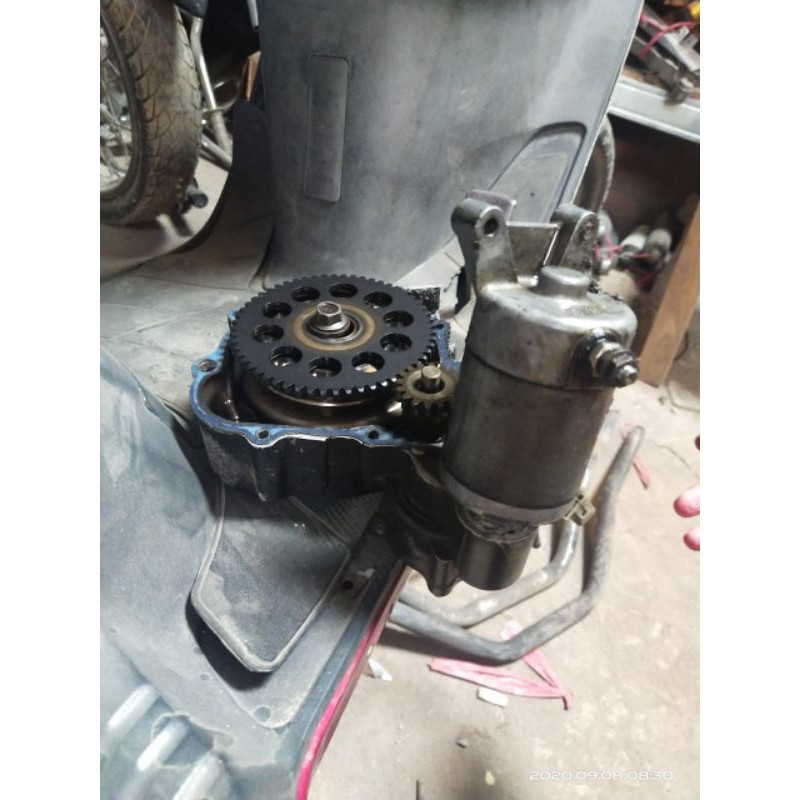 Double stater tiger revo dobel stater tiger revo original second