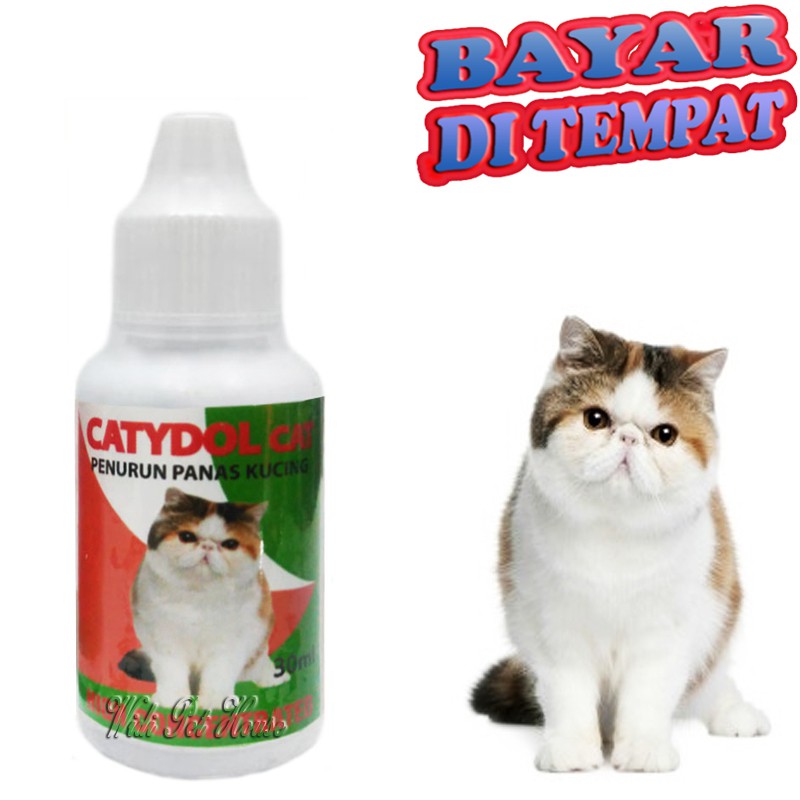 Obat Penurun Panas Kucing CATYDOL CAT Sakit Demam Kitten