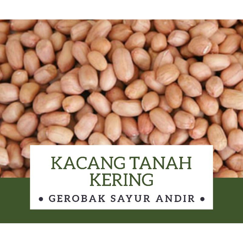 

Kacang Tanah Kering (besar) /250gr