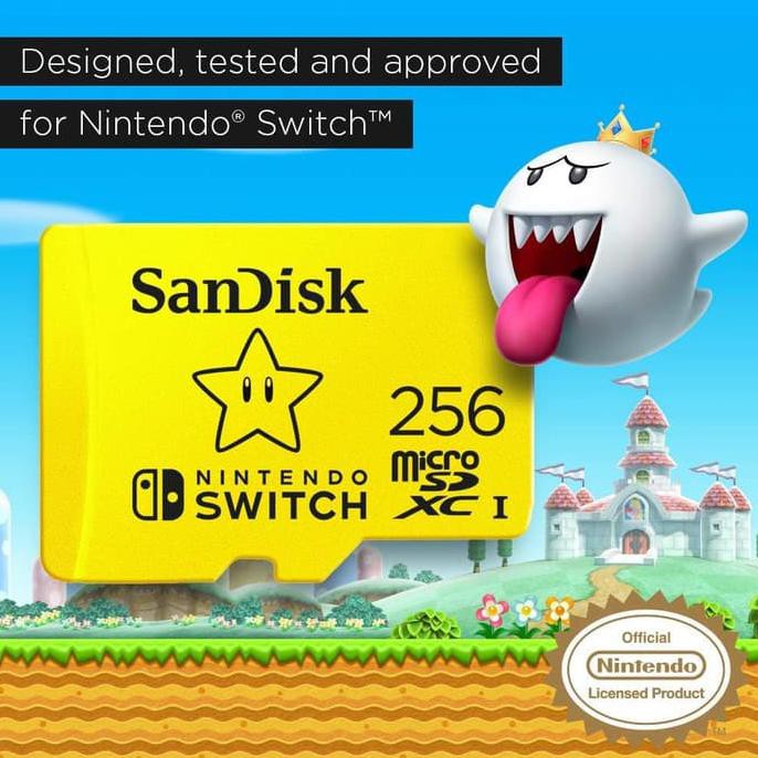 sandisk switch 256