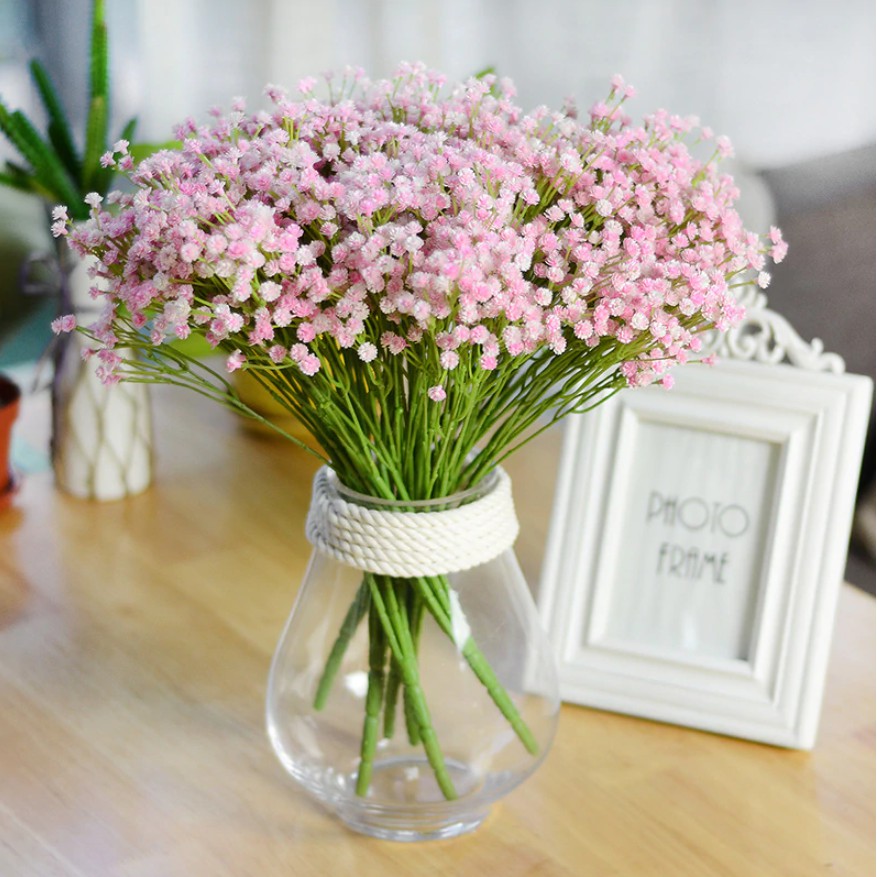 Benih Bibit Biji - Bunga Pink Baby Breath Merah Muda Gypsophila Elegans Pink Flower Seeds - IMPORT