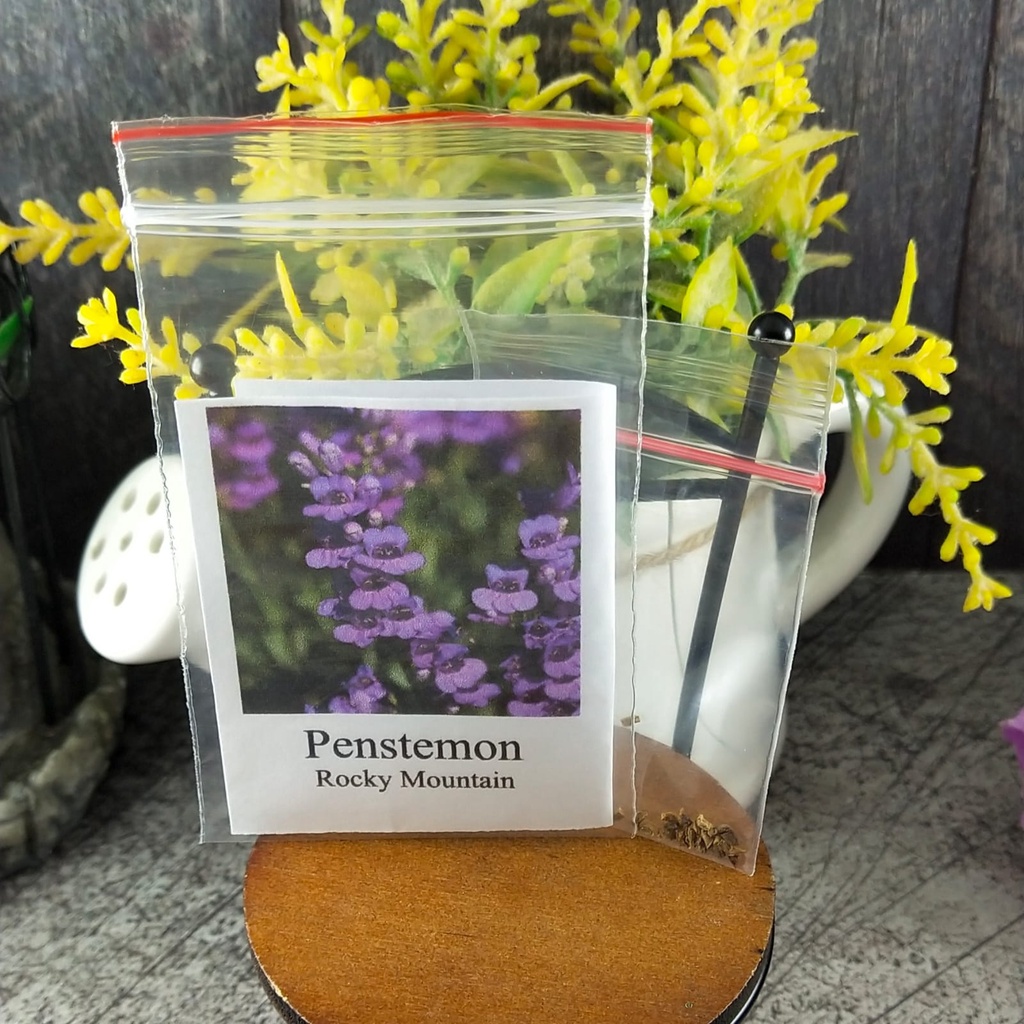 10 Seeds - Penstemon Rocky Mountain Biji Bunga - SR0208