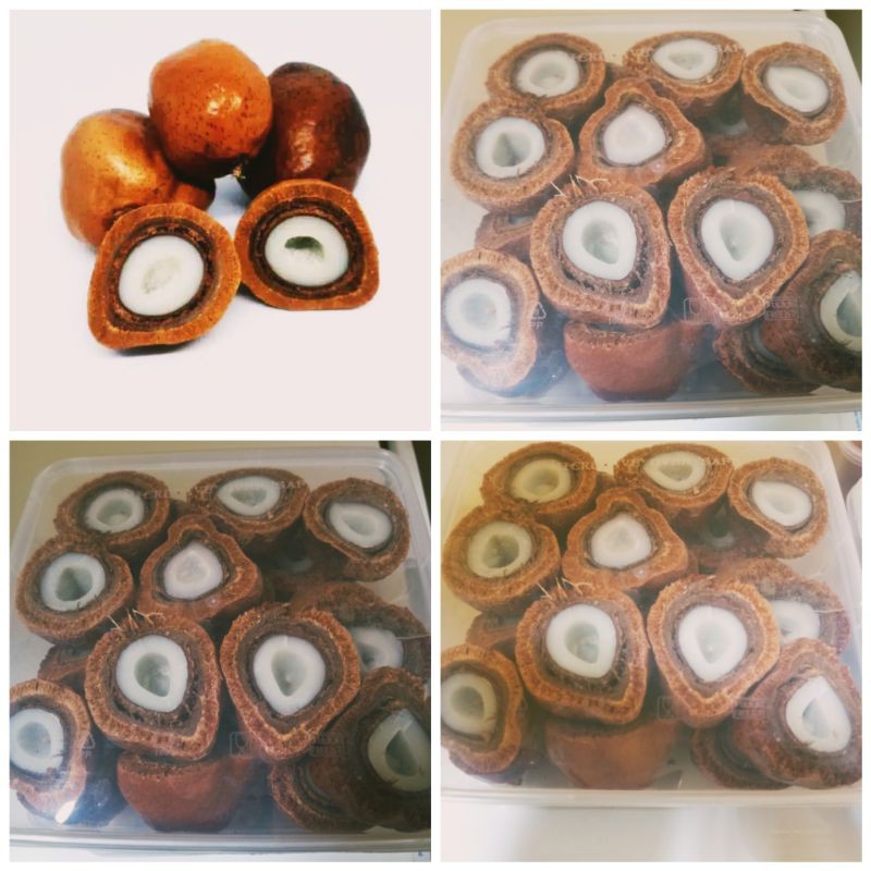

BUAH ZURIAT BELAH