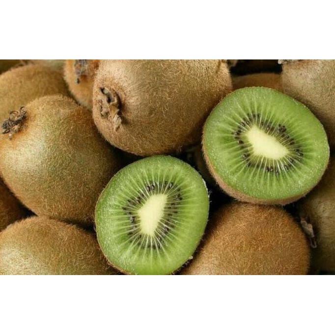 Bibit Okulasi Bibit Tanaman Buah Kiwi 30Cm I32