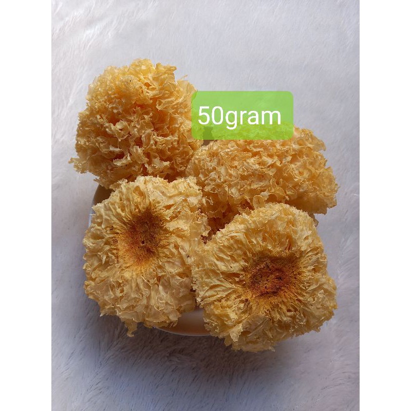 

Jamur Salju Premium Kuning 50gram/ Dried Snow White Fungus