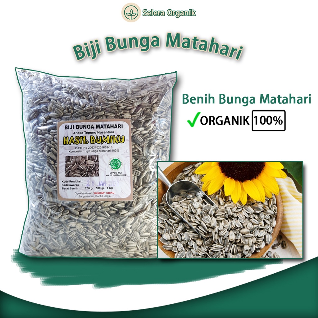 

Biji Benih Bibit Bunga Matahari Organik (1kg) Bisa untuk Bibit Bunga Matahari | Selera Organik Jogja