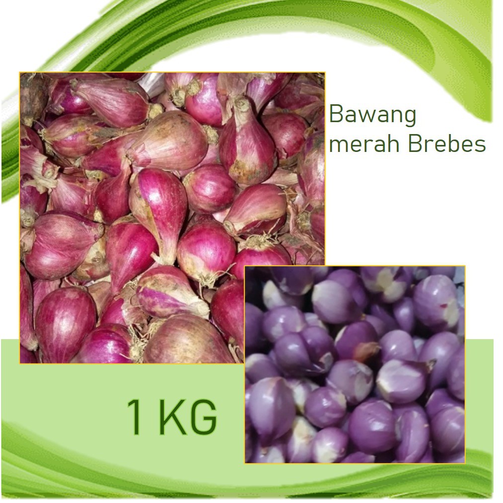 

Bawang Merah Brebes 1 kilogram