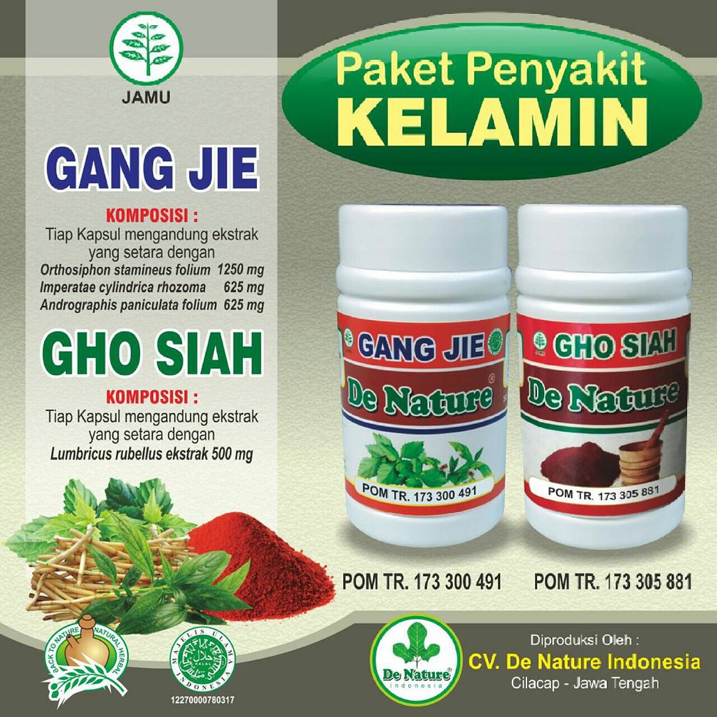 harga obat sipilis kapsul di apotik - Asli De Nature