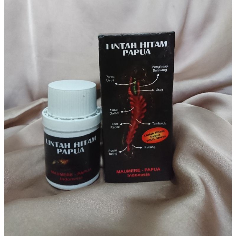 minyak_lintah_hitam_papua_asli