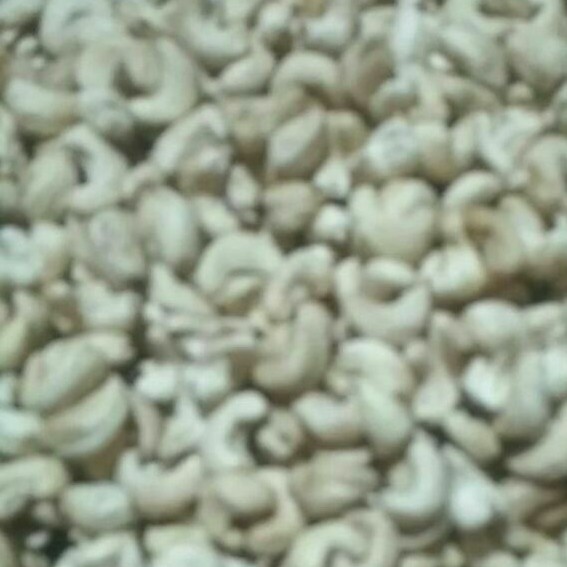 

Kacang Mete Wonogiri