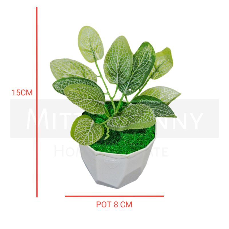 TANAMAN BUNGA ARTIFICIAL BUNGA HIAS DEKORASI HIASAN RUMAH BUNGA PLASTIK MURAH BUNGA AGLONEMA MINI-5