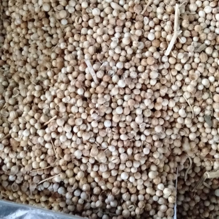 

Biji Ketumbar 500gram PREMIUM HEMAT