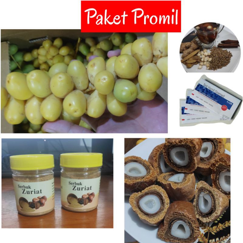 

Paket promil sale, paket kurma muda, buah dzuriyat, paket promil buah kurma segar, promil zuriyat