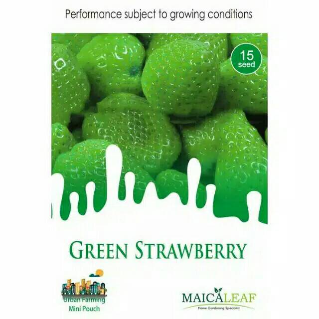 

GREEN STRAWBERRY isi 15 biji