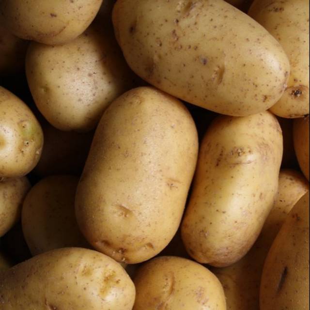 

Kentang 1 Kg