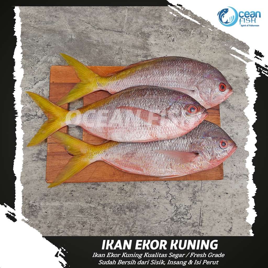 

Ikan Ekor Kuning Segar/Yellowtail Fish Fresh 1kg 3-5 Ekor/Ikan Segar