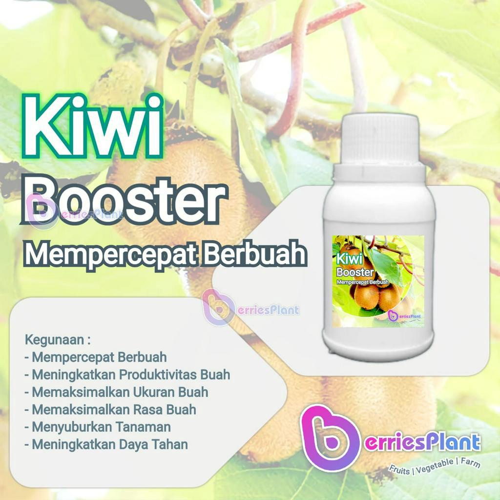 Booster Buah Kiwi SUPER | Mempercepat Berbuah | Perangsang Bunga  |  Perangsang Buah | Cepat Berbuah