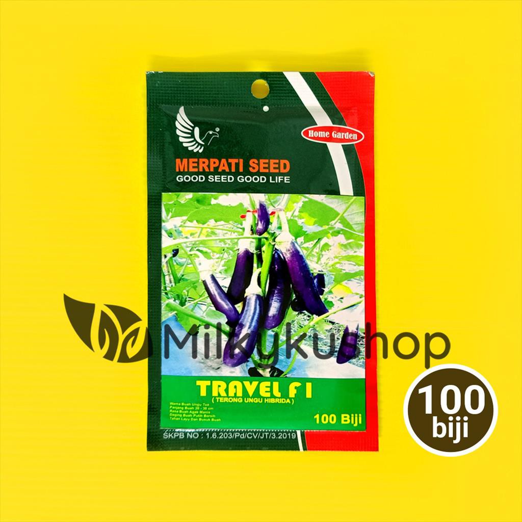 BENIH MERPATI SEED TRAVEL F1 TERONG 100 BIJI SACHET KEMASAN PABRIK