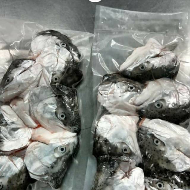 

Kepala ikan salmon 1 kg