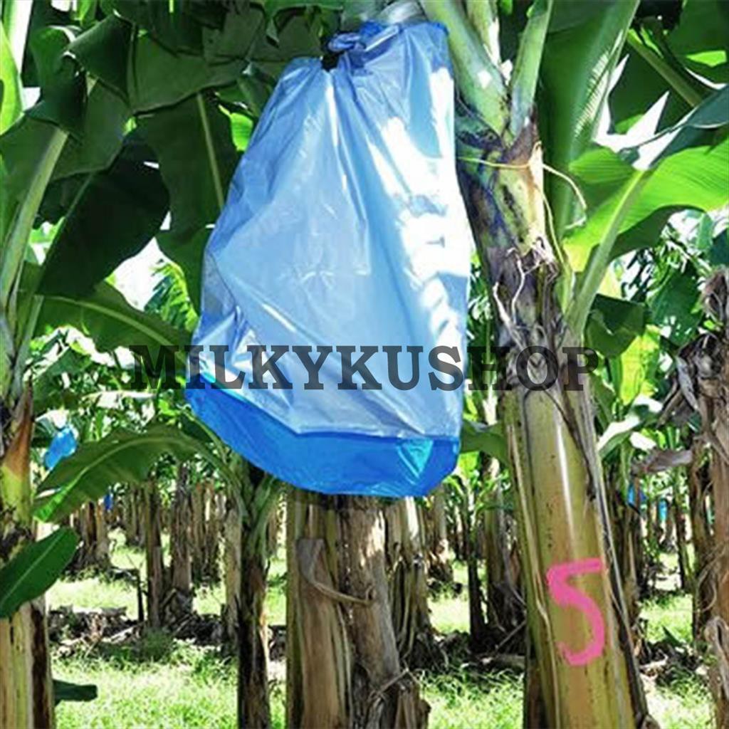 FRUIT COVER HD ROLL BIRU 5 KG  PLASTIK METERAN PEMBUNGKUS BUAH PISANG