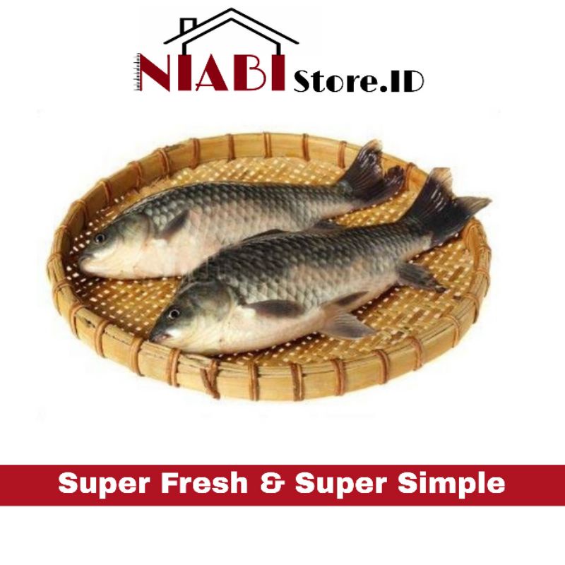 

IKAN MAS SEGAR 1 KG SUDAH DIBERSIHKAN