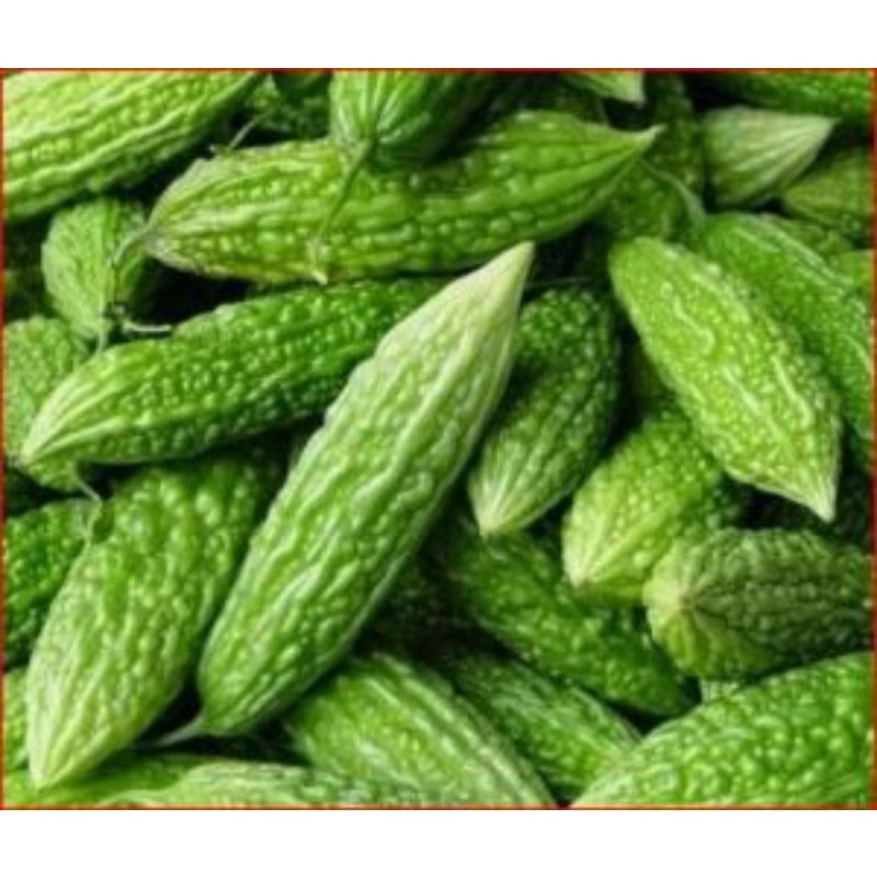 

Paria Segar Pahit 500 gram SAYUR PRAKTIS ONLINE BANDUNG