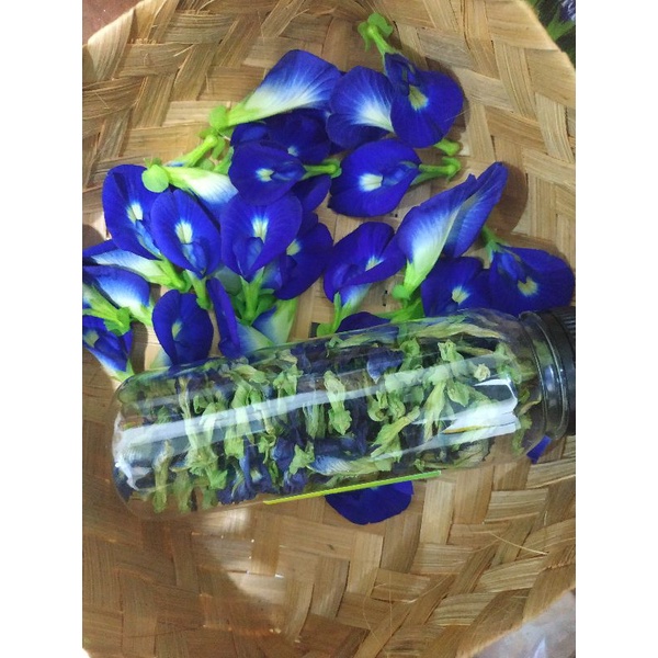 

Bunga Telang Kering