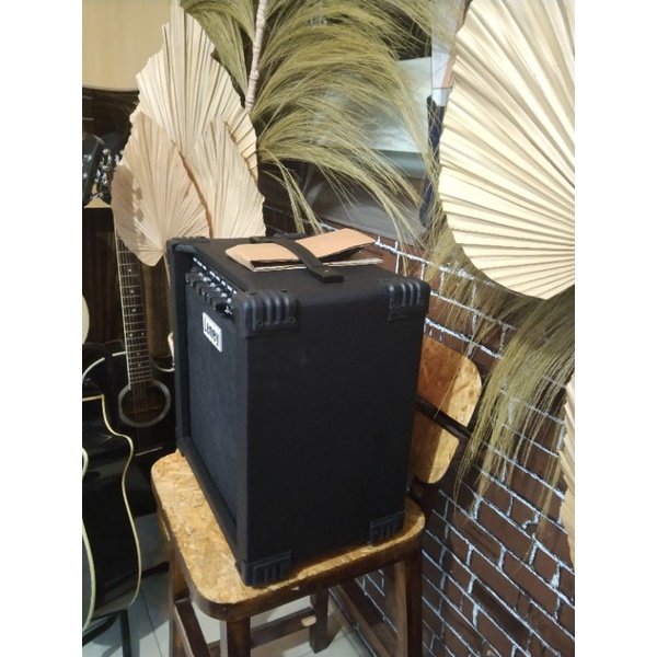 Ampli Gitar akustik elektrik, Bass akustik, gitar listrik