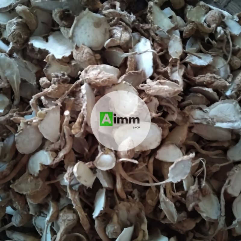 

KUNCI PEPET KERING - SIMPLISIA KUNCI PEPET - 100 GRAM