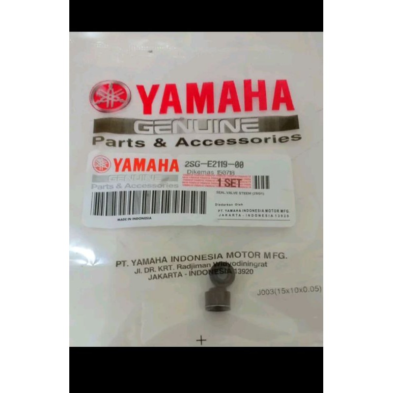 seal klep Jupiter MX