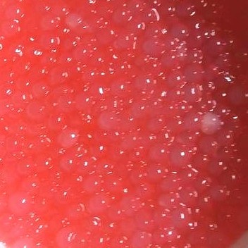 

sagu mutiara merah pasar online makassar