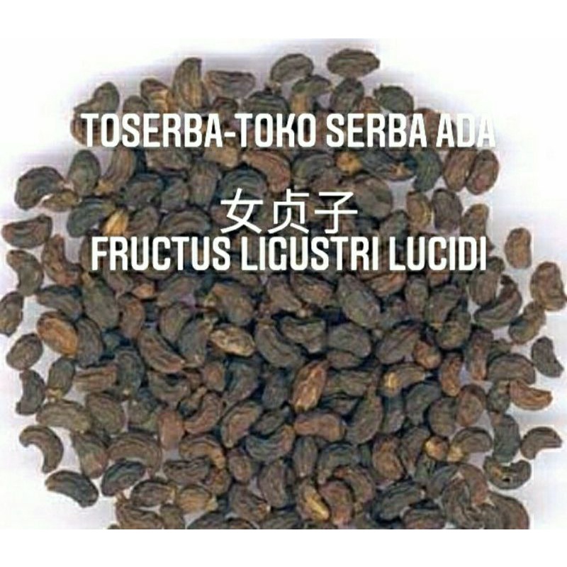 

100gr Herbal Nv Zhen Zi 女贞子 Nu Zhen Zi Ligustrum Lucidum Fructus Ligustri Lucidi Glossy Privet Fruit