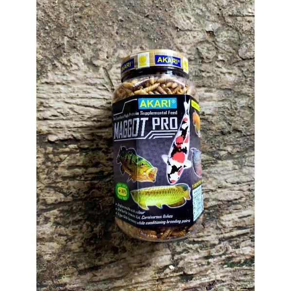 Akari maggot makanan ikan predator arwana koi maggot kering suplemen vitamin ikan Oscar koi pbass