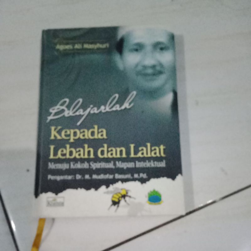 BELAJARLAH KEPADA LEBAH DAN LALAT