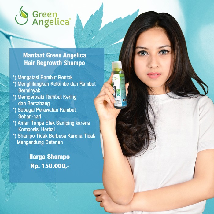  Shampoo  Green Angelica Penumbuh Rambut  Mampu Mengatasi 