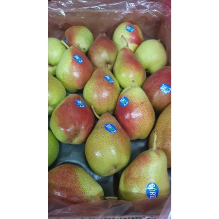 

Pear Forelle pir foreli manis juicy