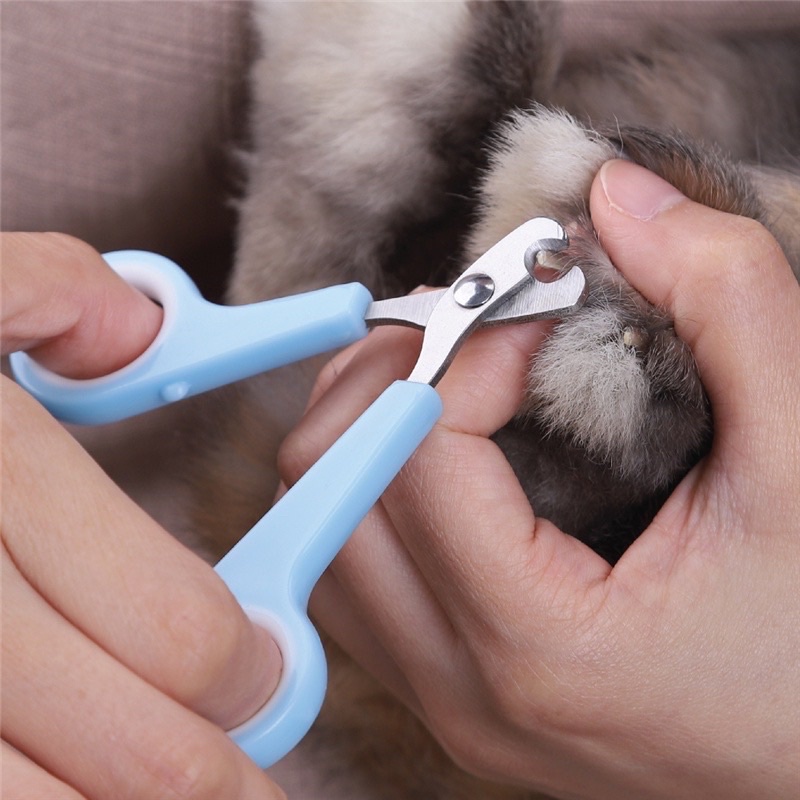 GUNTING KUKU KUCING ANJING KELINCI LOKAL - PET NAIL CLIPPERS - GUNTING KUKU HEWAN