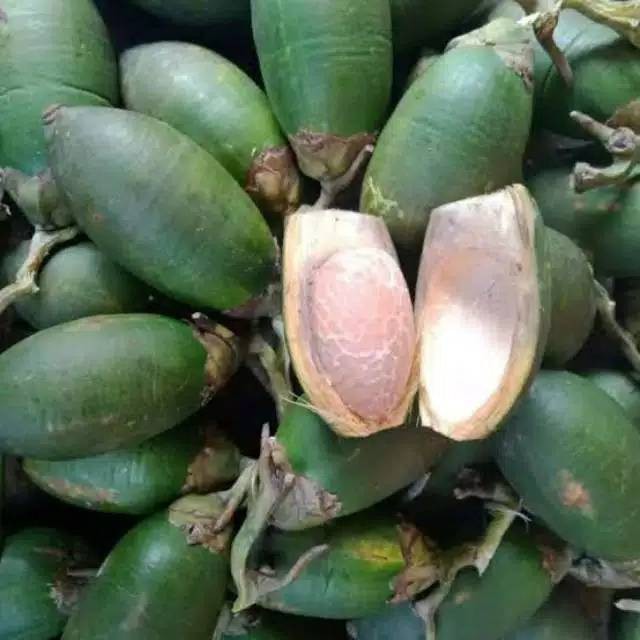 

terbaru Buah Pinang/jambe muda per 1kg segar