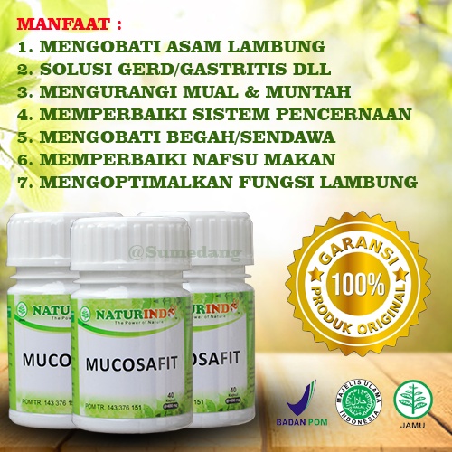 MUCOSAFIT obat herbal asam lambung kronis ampuh mengobati maag maagh gerd anxiety nyeri perut melapisi dinding lambung mual muntah sakit perut kiri kembung begah sendawa dan pencernan isi 40 kapsul-ASAM LAMBUNG / MAAG