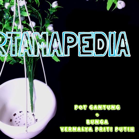☛ Paket Bunga Merambat Juntai Vernalya PRITI + Pot Gantung/ Bunga Plastik/ Daun Rambat Plastik/ Daun
